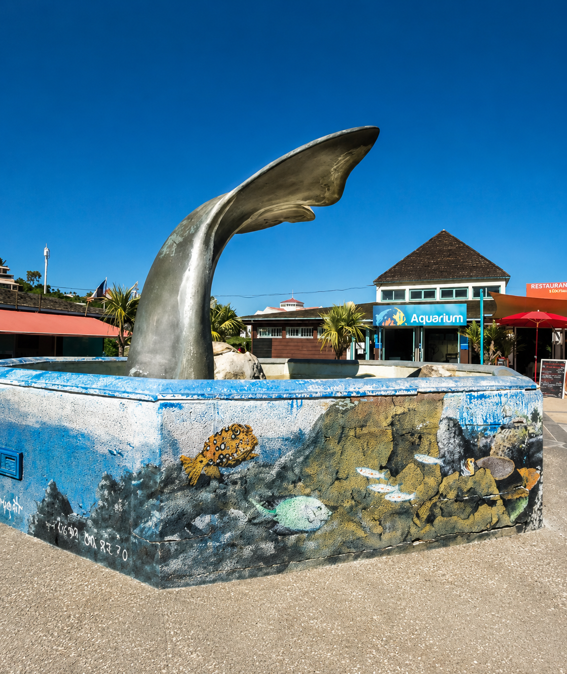 Aquarium de la Réunion